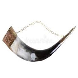 drinkinghorn05